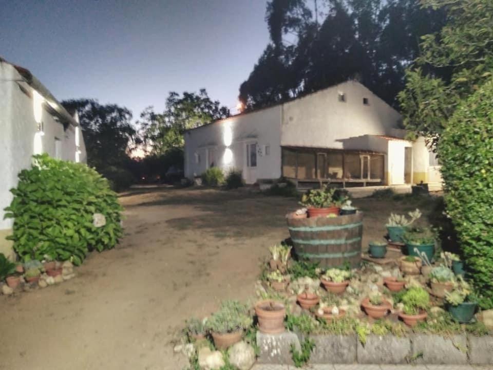 Quinta Da Mesa Villa Macinhata do Vouga Exterior foto